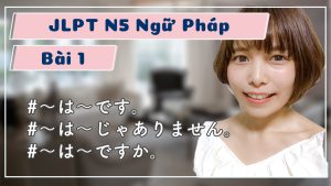日本語教育N5文法動画